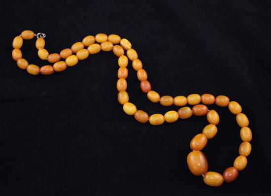 A single strand graduated amber bead necklace, 29in.